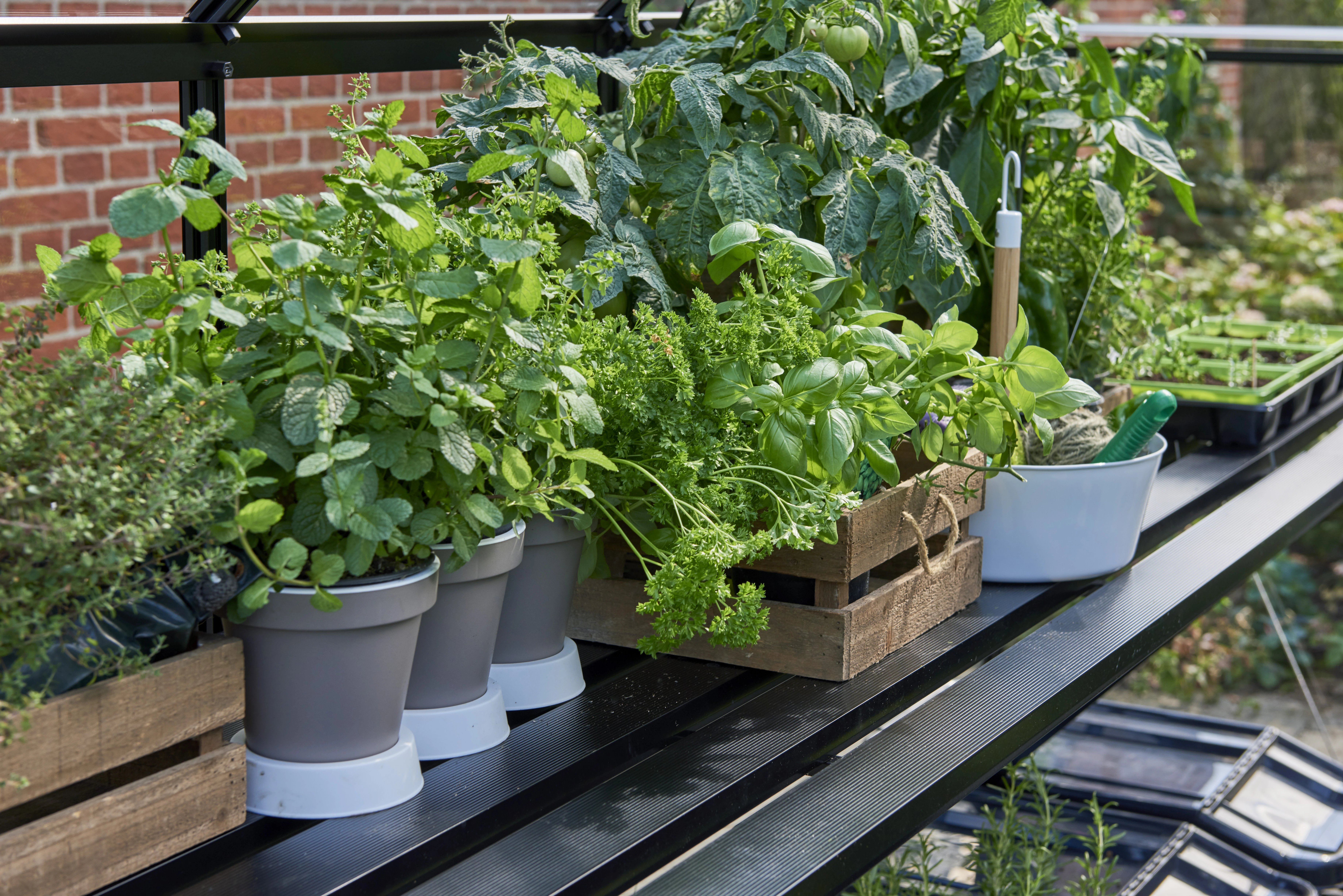 Royal Well Tafel Qube 816 Geïntegreerd Zwart Gecoat - Afbeelding 2